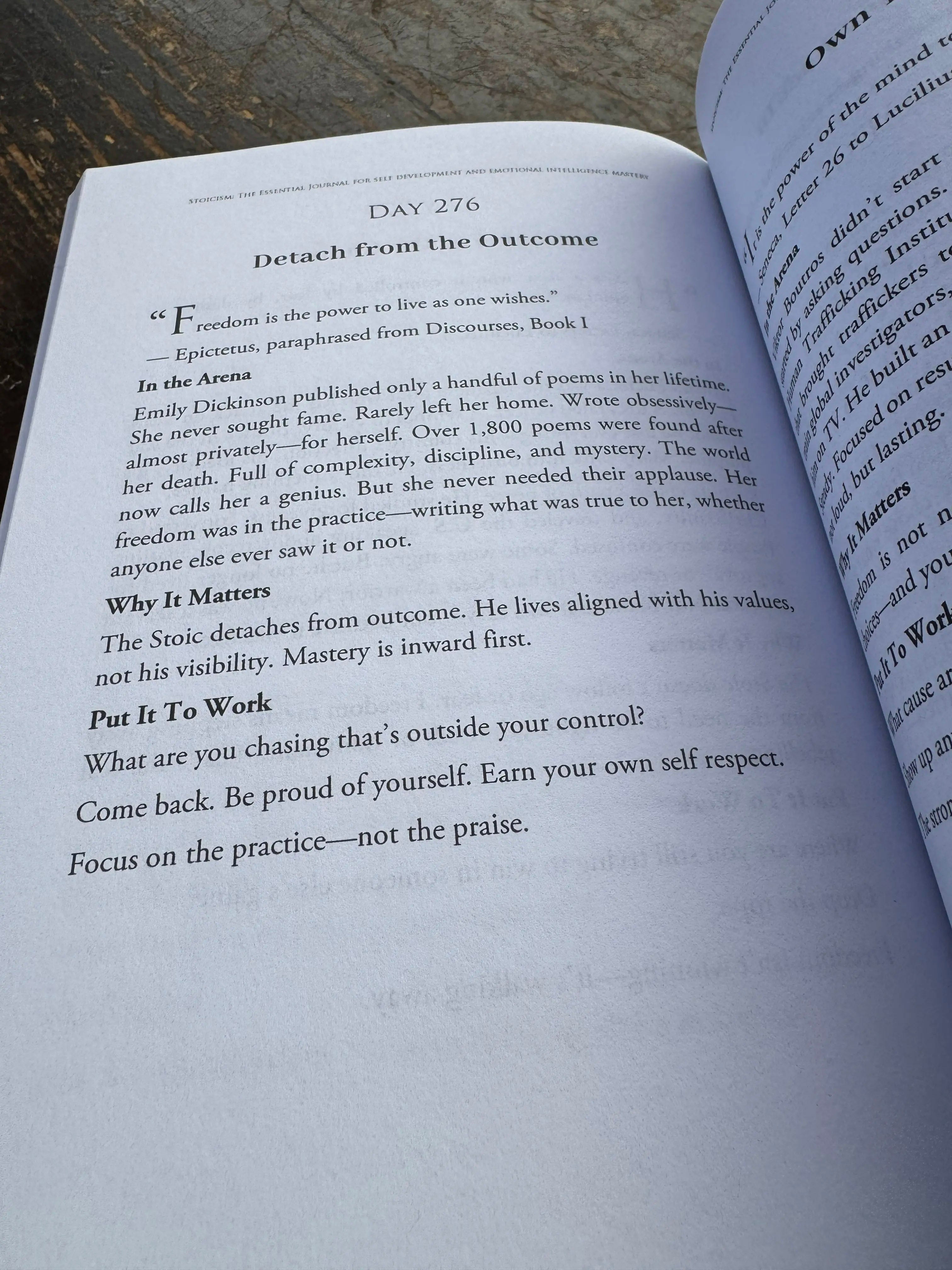 STOICISM: 365 DAILY LESSONS FOR MOTIVATION, MENTAL STRENGTH, AND EMOTIONAL CLARITY